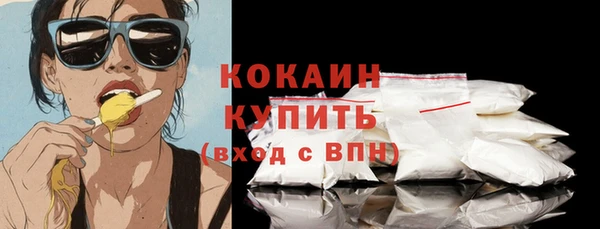 стаф Верея