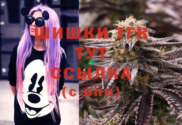 стаф Верея
