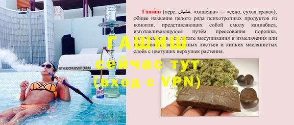 стаф Верея