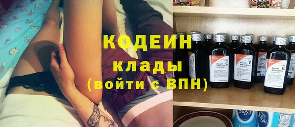 стаф Верея