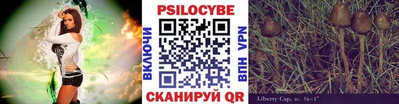 это как зайти  Калачинск  Галлюциногенные грибы мухоморы 